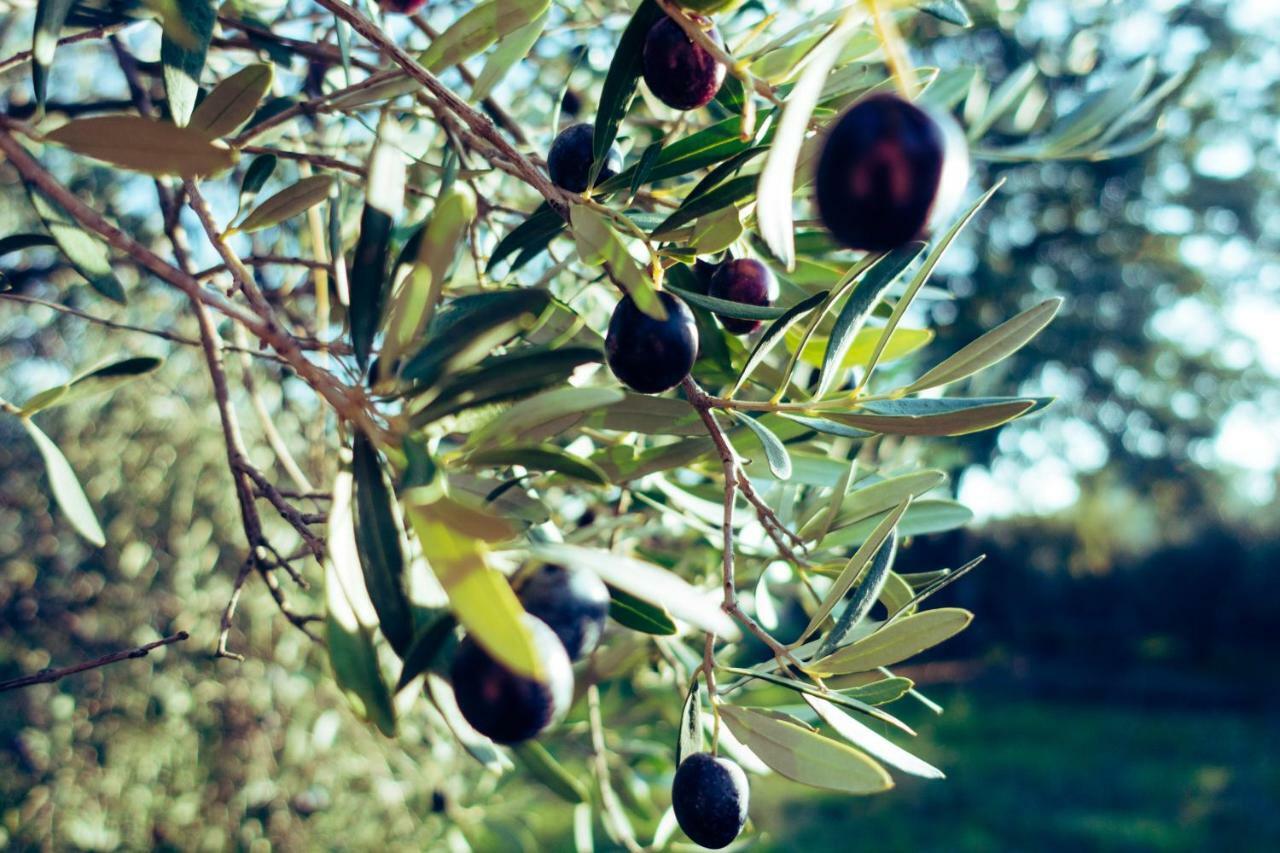 Villa Umami Mákri Buitenkant foto